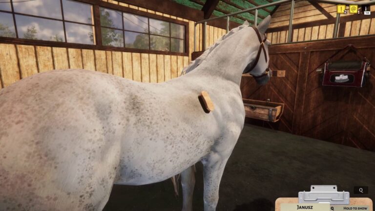 Od Gaming Professors: Animal Shelter představuje Horse Shelter DLC